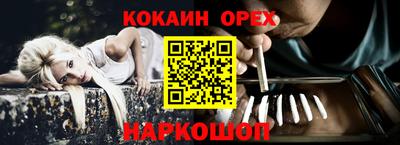 СК Бийск