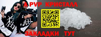 СК Бийск