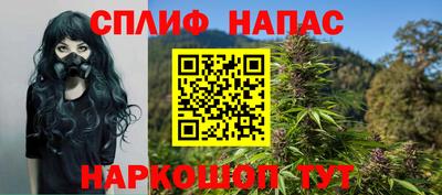СК Бийск