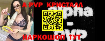 СК Бийск
