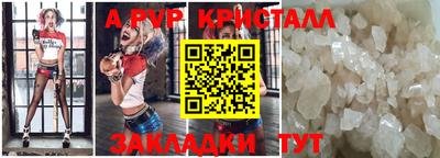 СК Бийск